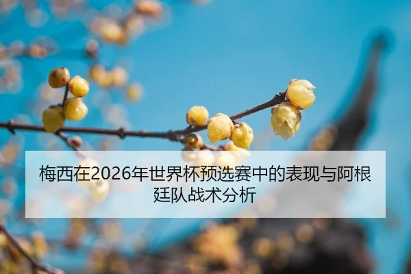 mei-xi-zai-nian-shi-jie-bei-yu-xuan-sai-zhong-de-biao-xian-yu-a-gen-ting-dui-zhan-shu-fen-xi-2-854.jpg