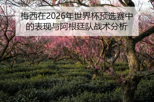 梅西在2026年世界杯预选赛中的表现与阿根廷队战术分析