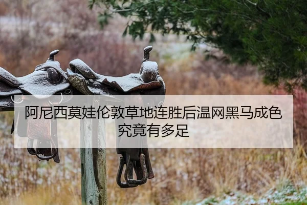 阿尼西莫娃伦敦草地连胜后温网黑马成色究竟有多足