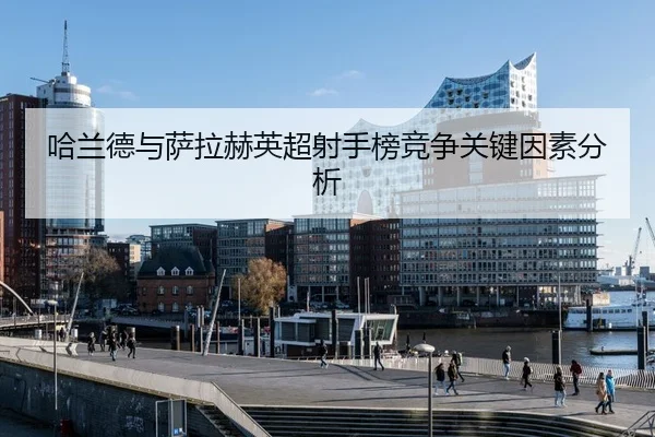 ha-lan-de-yu-sa-la-he-ying-chao-she-shou-bang-jing-zheng-guan-jian-yin-su-fen-xi-3-120.jpg