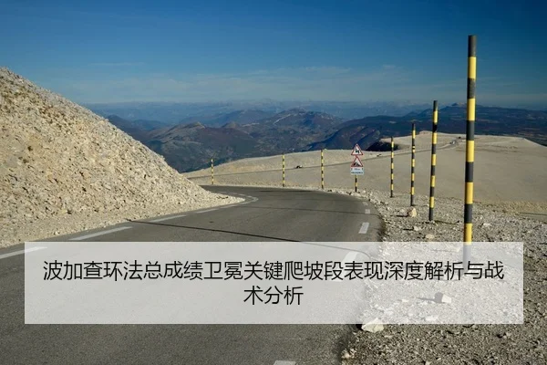 波加查环法总成绩卫冕关键爬坡段表现深度解析与战术分析