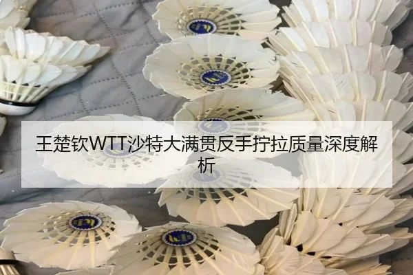 wang-chu-qin-sha-te-da-man-guan-fan-shou-ning-la-zhi-liang-shen-du-jie-xi-3-997.jpg