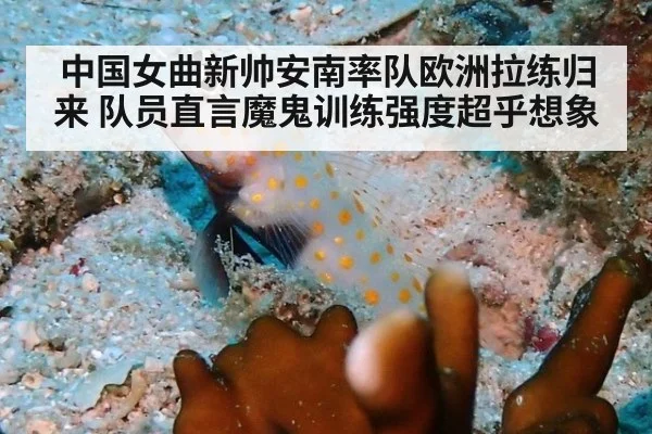 中国女曲新帅安南率队欧洲拉练归来 队员直言魔鬼训练强度超乎想象